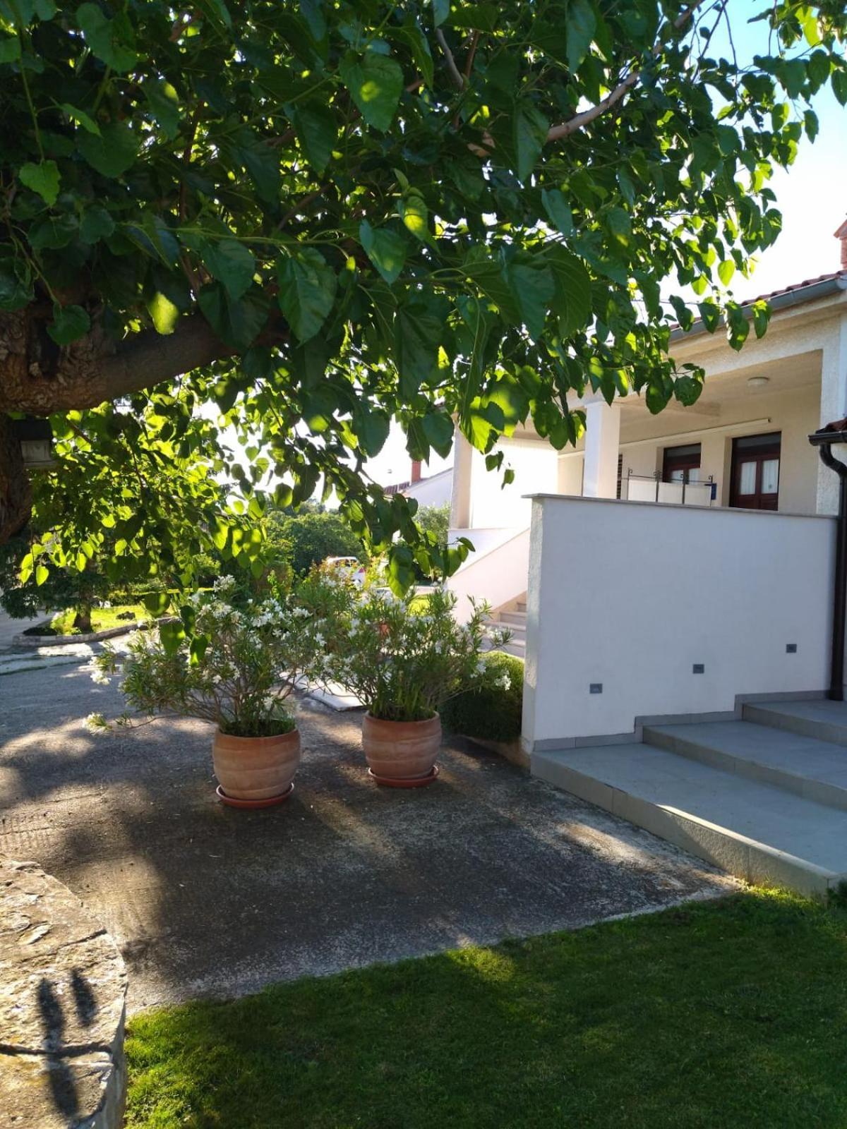 Villa Ivana ميدولين المظهر الخارجي الصورة