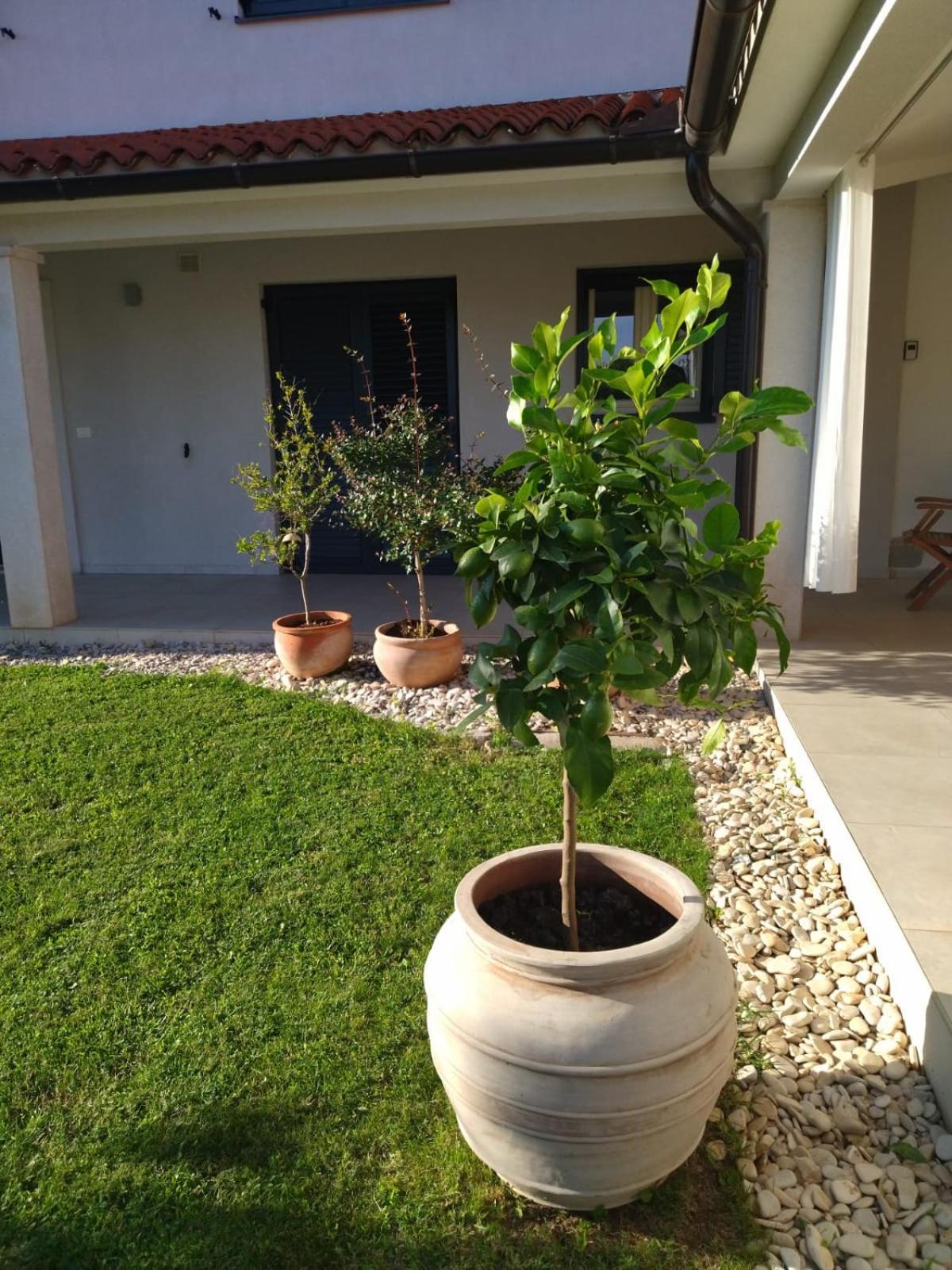 Villa Ivana ميدولين المظهر الخارجي الصورة